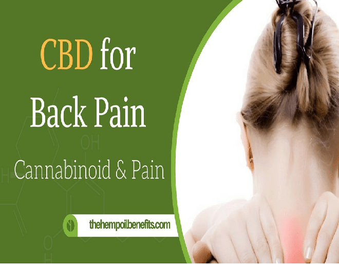 Hemp Oil Can Help You get rid of Back Pain