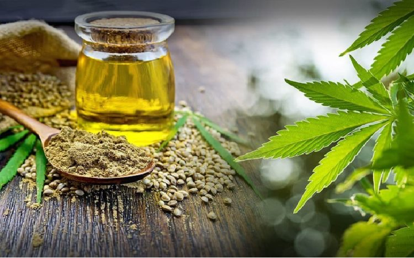 What are the benefits of hemp oil people ought to know?
