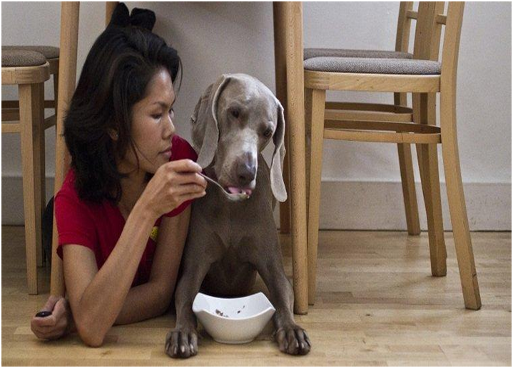 simplest pet-food