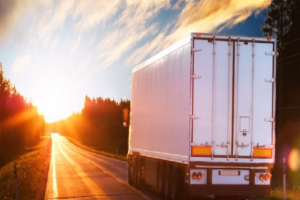 Transport Companies and types of a license to drive trucks