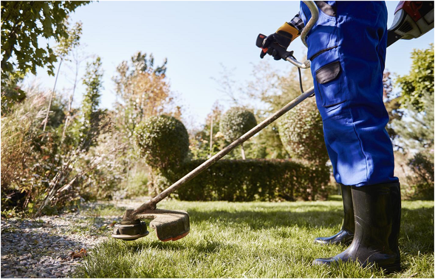 Common Garden Maintenance Mistakes and How to Avoid Them